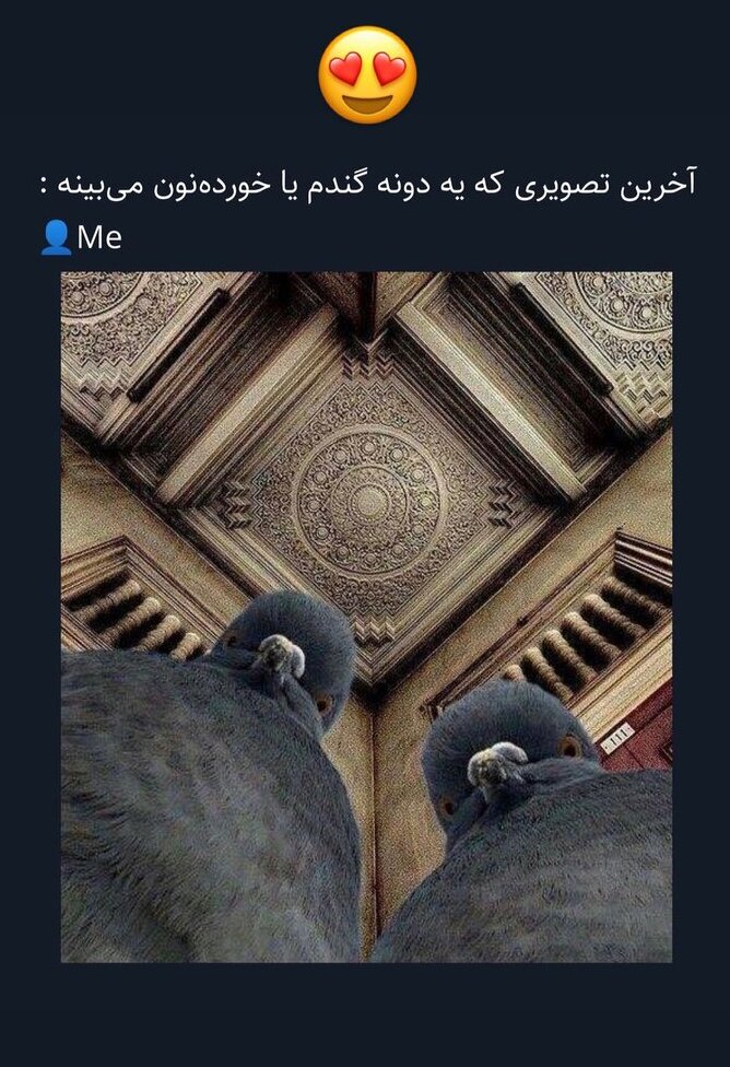 خلاقیت عکاسی