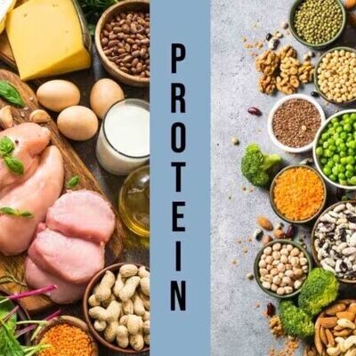 پروتئین حیوانی بهتر است یا پروتئین گیاهی؟ / کدام منبع پروتئین بهتر است؟!