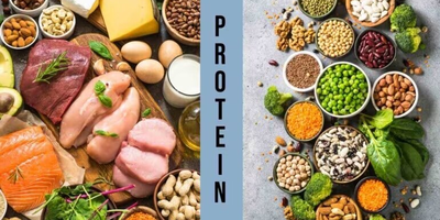 پروتئین حیوانی بهتر است یا پروتئین گیاهی؟ / کدام منبع پروتئین بهتر است؟!