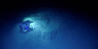 ویدیویی از سطح عمیق ترین نقطه اقیانوس!/ موجوداتی عجیب که در تاریک ترین و عمیق ترین بخش های گودال ماریانا زندگی میکنند!