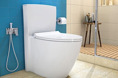 آیا میدانستید در اکثر خانه های امروزی اسپری باکتری وجود دارد؟/ بزرگترین و خطرناکترین اشتباه هنگام استفاده از توالت های فرنگی!