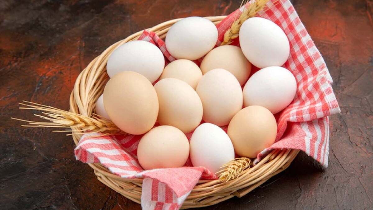 تازه ترین تحقیقات غافلگیر کننده درباره مصرف تخم مرغ / فواید اعجاب انگیز تخم مرغ