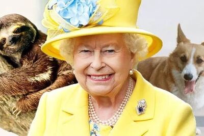 (تصاویر) حیوانات خانگی عجیب و غریب ملکه الیزابت دوم / باورتون میشه واقعا؟