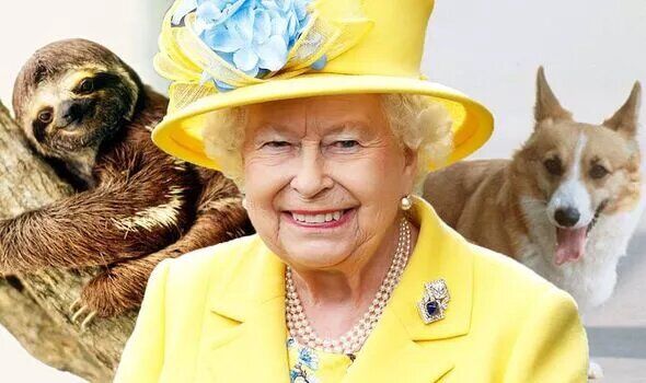 (تصاویر) حیوانات خانگی عجیب و غریب ملکه الیزابت دوم / باورتون میشه واقعا؟