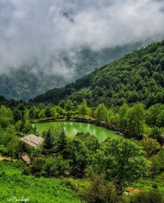 (ویدئو) تغییر چهره شگفت انگیز "دریاچه قو" در بهار و زمستان/ تو هر فصلی مثل جواهر میدرخشه