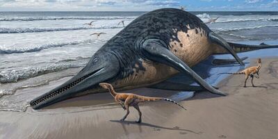 کشف حیرت انگیز موجودی خیلی بزرگ‌ تر از نهنگ / محل زندگی این جانور غول پیکر کجاست؟!