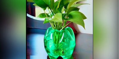 (ویدئو) ایده های بازیافتی/ آموزش ساخت گلدان فلفلی شکل با بطری نوشابه به آسانترین شکل