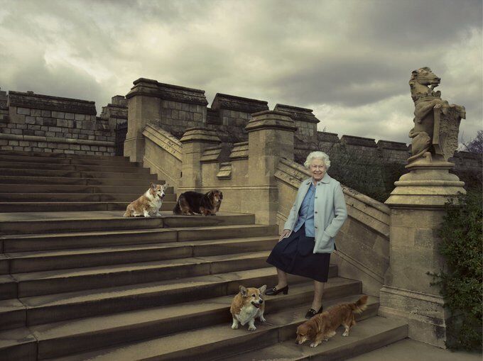 سگ های ملکه الیزابت
