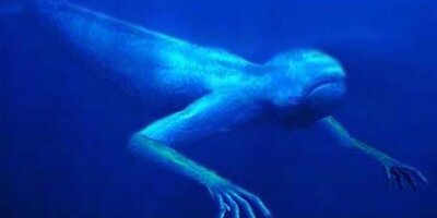 10 گونه از عجیب‌ترین و ترسناک‌ترین موجودات اعماق دریا / عمرا تصویر کنی همچین موجوداتی هم در دنیا وجود دارند