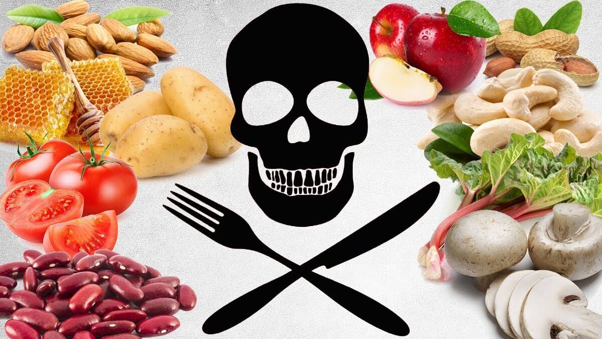 (ویدئو) 10 تا از خطرناک ترین خوراکی ها که باعث مرگ می شوند / اگه این خوراکی ها رو دیدی فورا فرار کن، فریب ظاهرشونو نخور