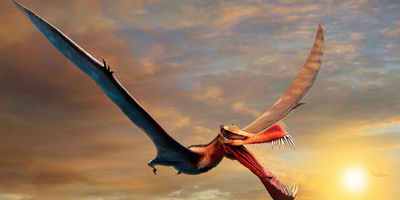(عکس) کشف بقایای 240 میلیون ساله موجود بسیار عجیب در چین/ لقب "اژدها" واقعا برازندشه!