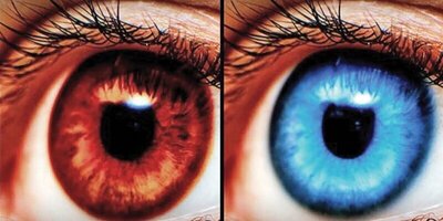تحقیق جدید درباره تأثیر رنگ چشم‌ در زندگی / چشم آبی ها در نور کم دید بهتری دارند